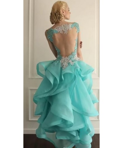 Tulle Prom Dresses Lace Applique Homecoming Dresses for Teens Performanc Quinceanera Dresses Burgundy $50.34 Dresses