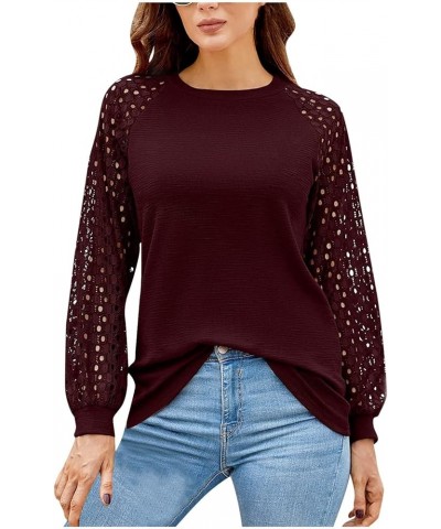 2024 Womens Spring Long Sleeve Shirts Lightweight Tshirts Lace Trim V Neck Cute Tops Summer Pleated Flowy Blouse A12- Wine $1...