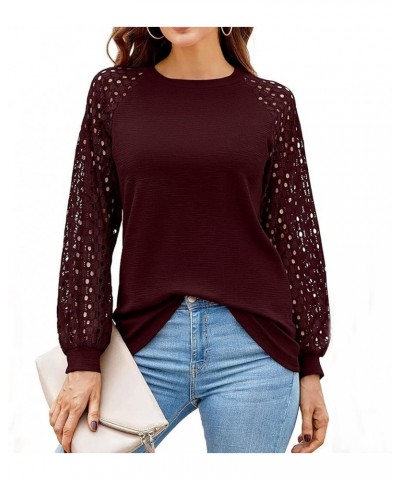 2024 Womens Spring Long Sleeve Shirts Lightweight Tshirts Lace Trim V Neck Cute Tops Summer Pleated Flowy Blouse A12- Wine $1...