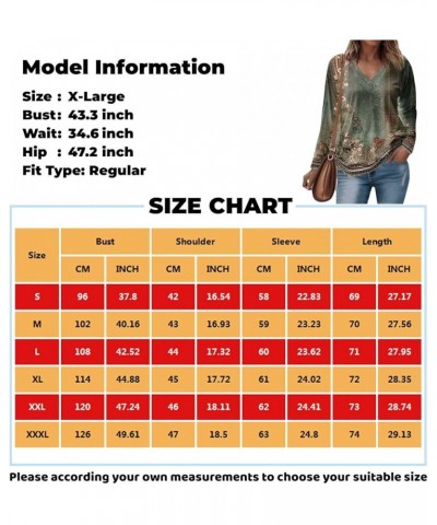 Long Sleeve Shirts for Women Fall V-Neck Pullover Tees Blouse Loose Casual Sweatshirts Printed Long Sleeve Tunics Tops 3-oran...