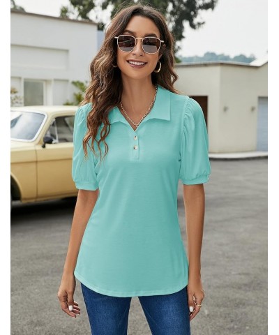 Womens Polo Shirts Button Down Collared Short Sleeve Tops V Neck Loose Blouses Aqua $16.11 Shirts