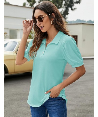 Womens Polo Shirts Button Down Collared Short Sleeve Tops V Neck Loose Blouses Aqua $16.11 Shirts